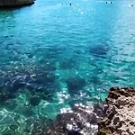 Aricelle Speziali לינה וארוחת בוקר