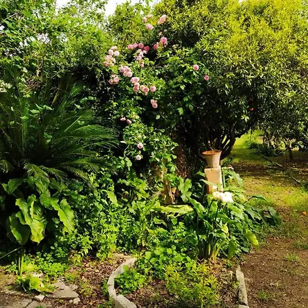 Bed & Breakfast Aricelle Speziali