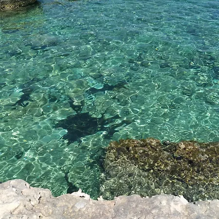 Aricelle Speziali Specchia Gallone